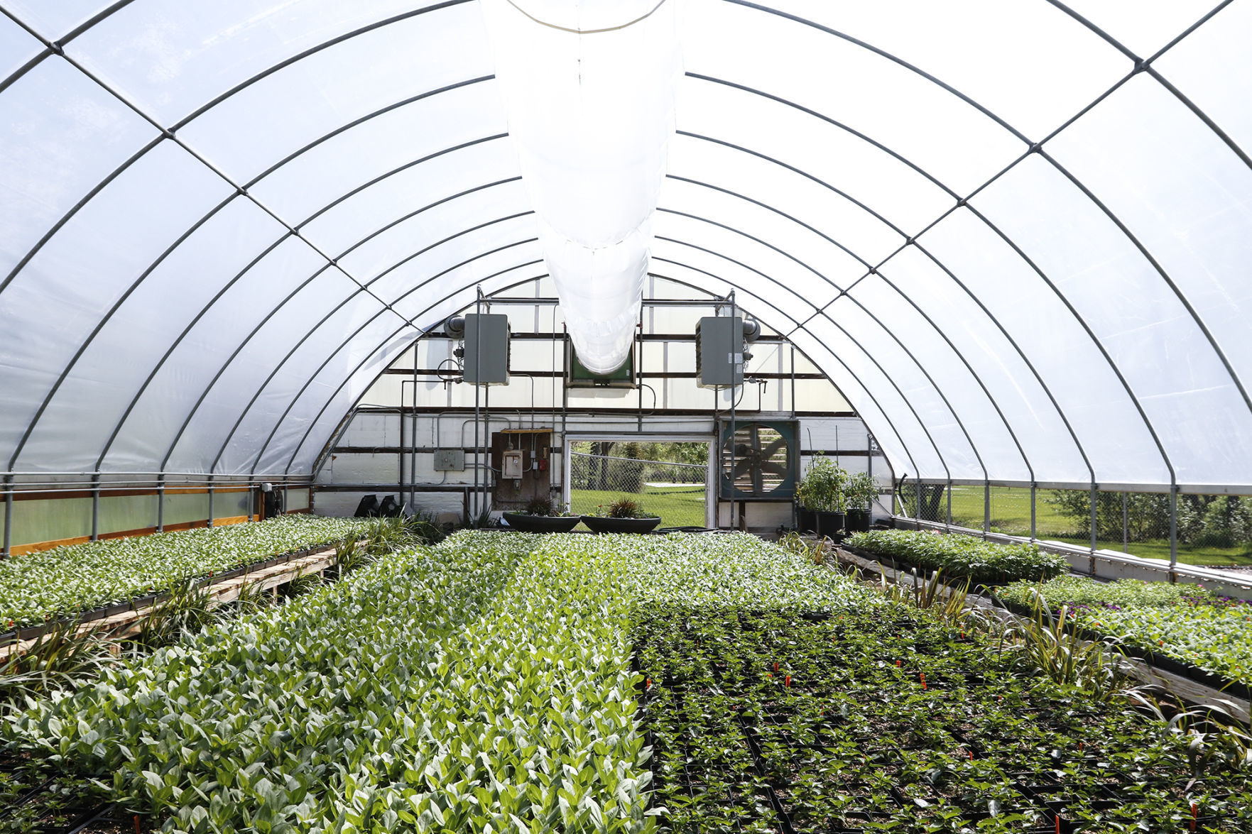 City Greenhouse
